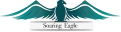 Soaring Eagle