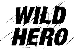 WILD HERO