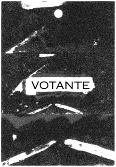 VOTANTE