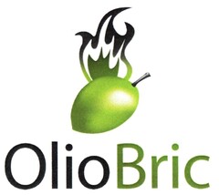 OlioBric