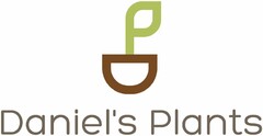 Daniel's Plants