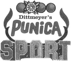 DITTMEYERÖS PUNICA