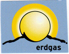 erdgas