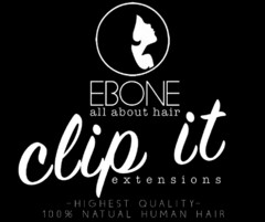 EBONE all about hair clip it extensions