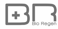 B+R Bio Regen