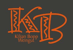 KB Kilian Bopp Weingut