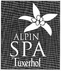 ALPIN SPA Tuxerhof