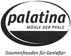 palatina MÜHLE DER PFALZ