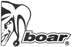 boar