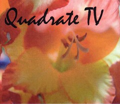 Quadrate TV