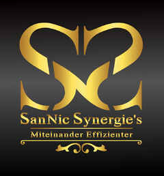 SanNic Synergie's Miteinander Effizienter