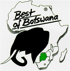 Best of Botswana