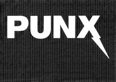 PUNX