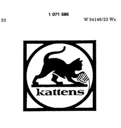 kattens