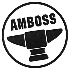 AMBOSS