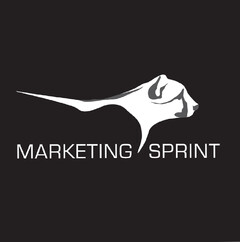 MARKETING SPRINT