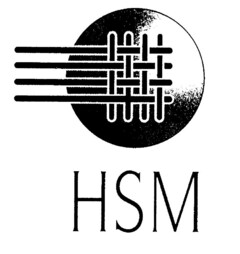 HSM