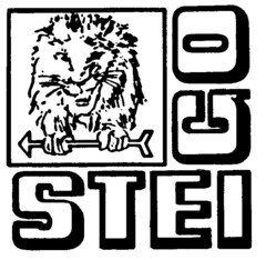 STEIGO