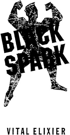 BLACK SPARK VITAL ELIXIER