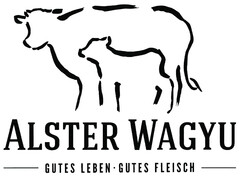 ALSTER WAGYU - GUTES LEBEN · GUTES FLEISCH -