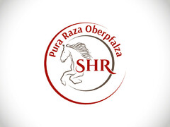 Pura Raza Oberpfalza SHR