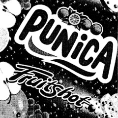 PUNICA Fruitshot