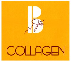 B W. Böttger COLLAGEN