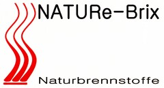 NATURe-Brix Naturbrennstoffe