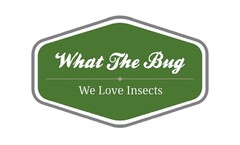 What The Bug We Love Insects