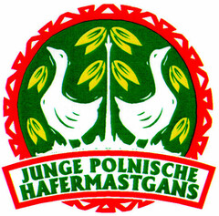 JUNGE POLNISCHE HAFERMASTGANS