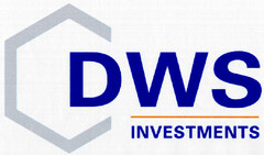 DWS INVESTMENTS