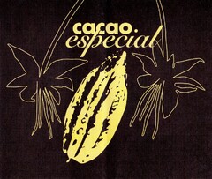 cacao. especial