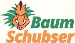 Baum Schubser