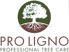 PRO LIGNO PROFESSIONAL TREE CARE