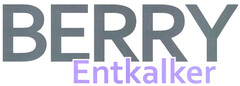 BERRY Entkalker