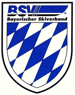 BSV Bayerischer Skiverband