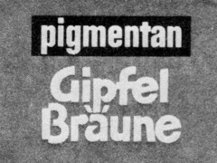 pigmentan Gipfel Bräune