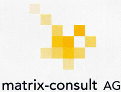 matrix-consult AG