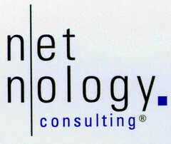 net nology. consulting
