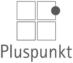 Pluspunkt