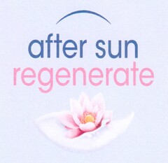 after sun regenerate