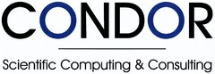 CONDOR Scientific Computing & Consulting