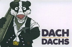 DACH DACHS