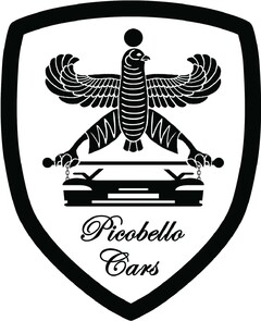 Picobello Cars