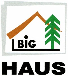 BIG HAUS