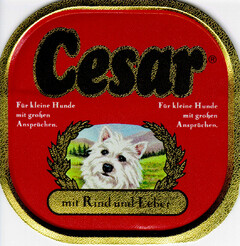 Cesar