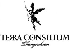 TERRA CONSILIUM Thüngersheim