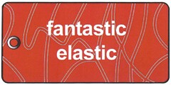 fantastic elastic