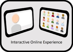 Interactive Online Experience