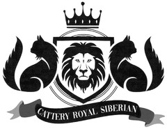 CATTERY ROYAL SIBERIAN